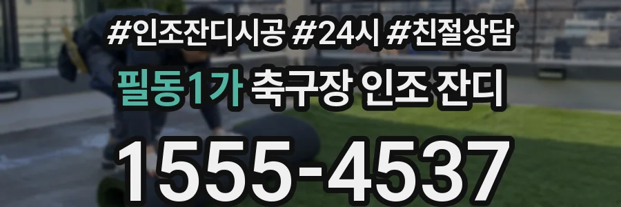 필동1가 축구장 인조 잔디