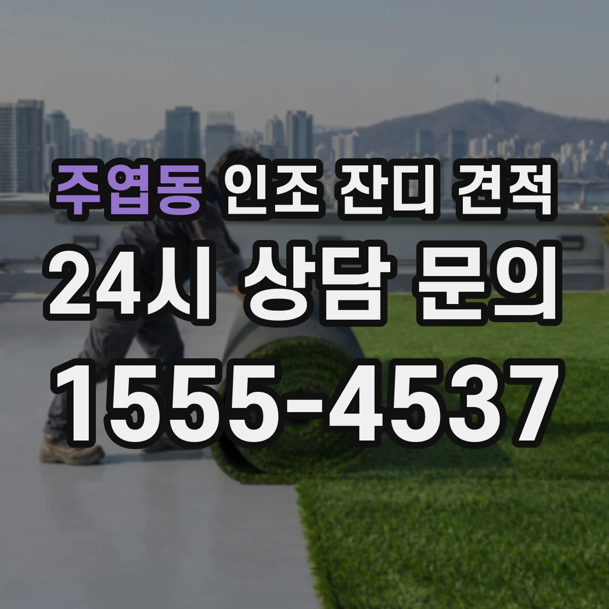 주엽동 인조 잔디 견적
