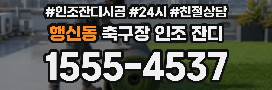 행신동 축구장 인조 잔디