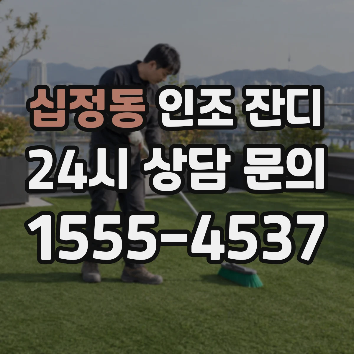 십정동 인조 잔디