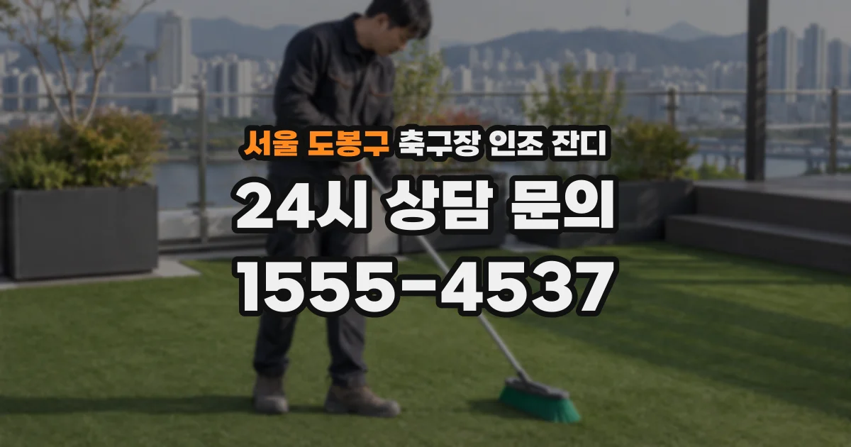 서울 도봉구 축구장 인조 잔디