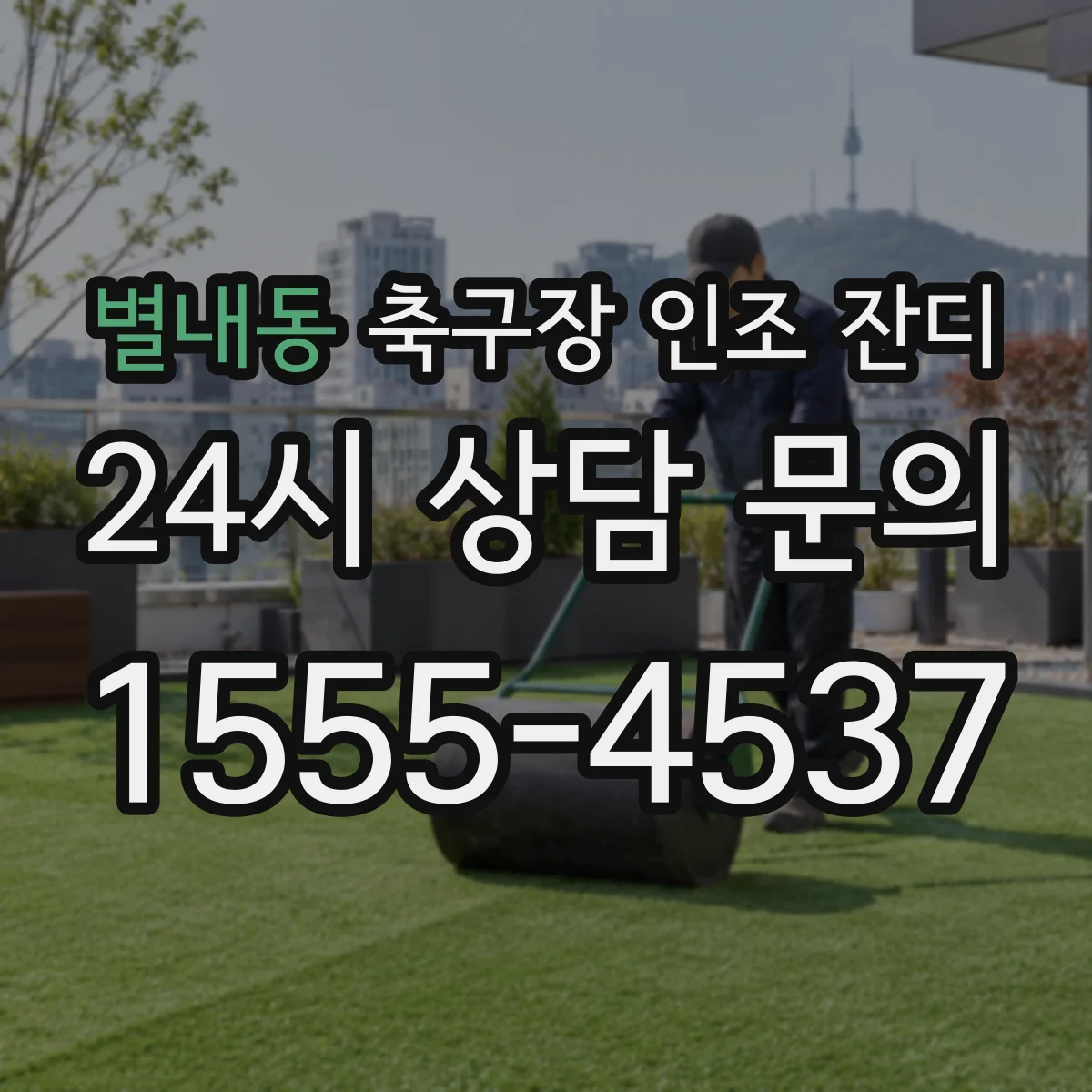 별내동 축구장 인조 잔디