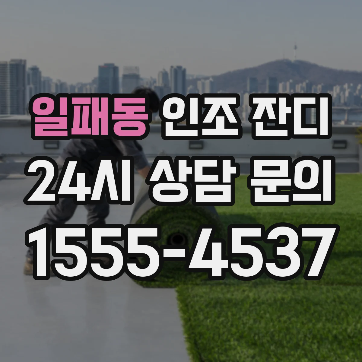 일패동 인조 잔디