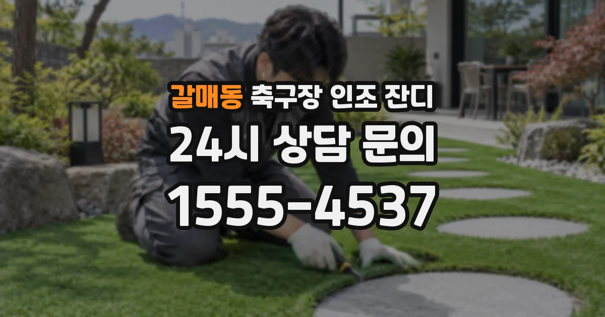 갈매동 축구장 인조 잔디