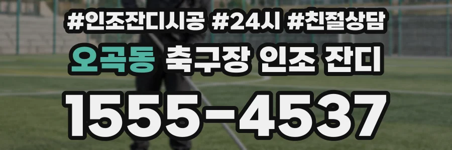 오곡동 축구장 인조 잔디