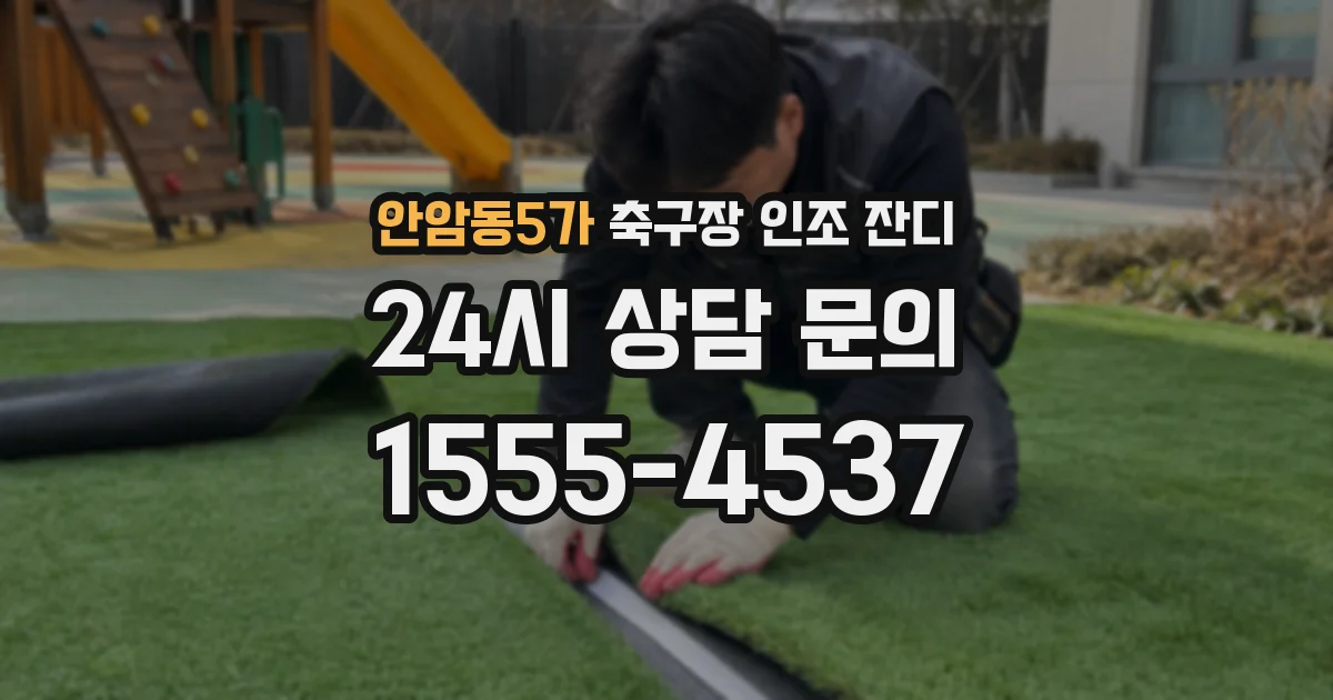 안암동5가 축구장 인조 잔디