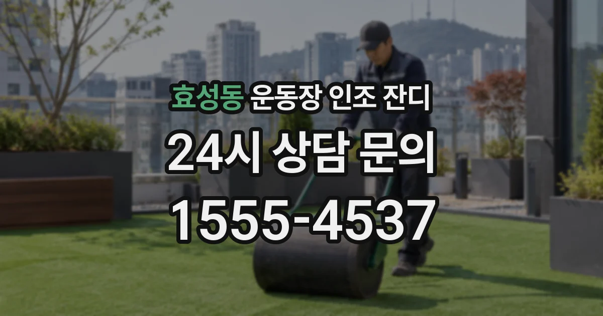 효성동 운동장 인조 잔디