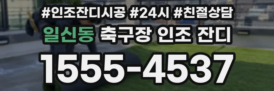 일신동 축구장 인조 잔디