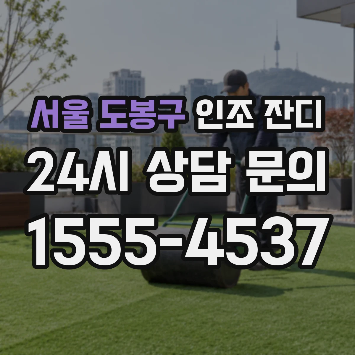서울 도봉구 인조 잔디