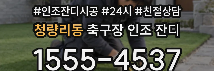 청량리동 축구장 인조 잔디