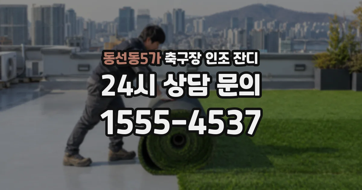 동선동5가 축구장 인조 잔디