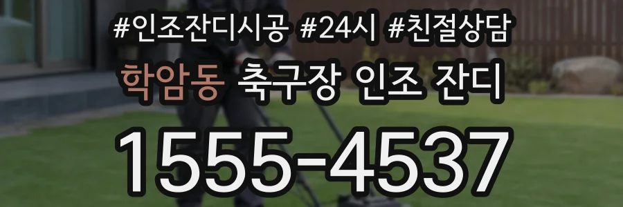 학암동 축구장 인조 잔디