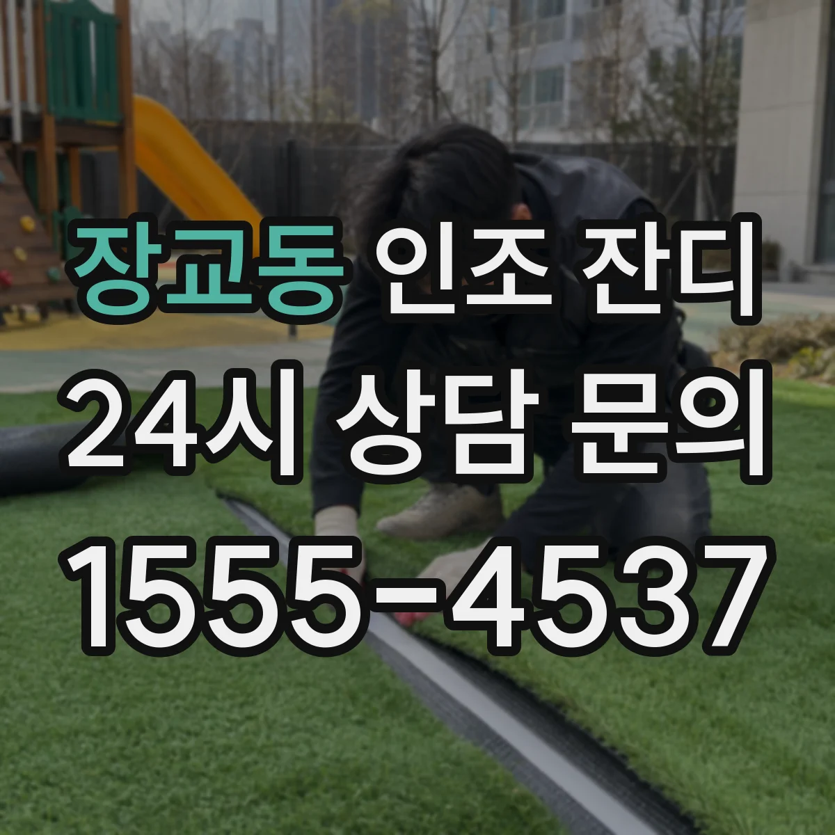 장교동 인조 잔디