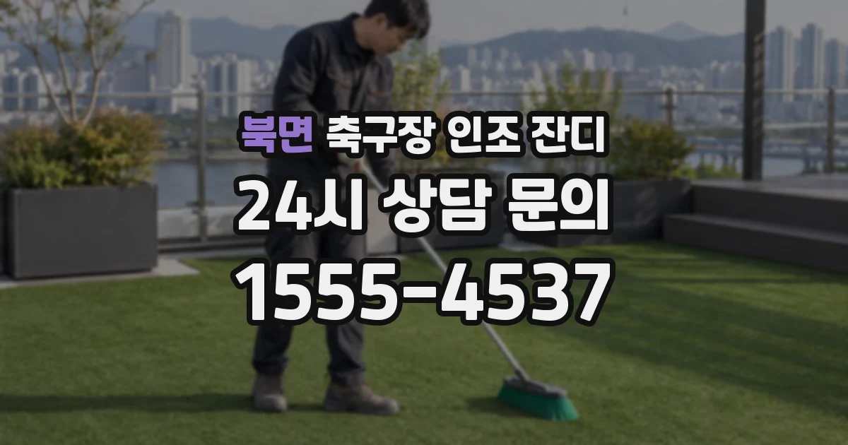 북면 축구장 인조 잔디