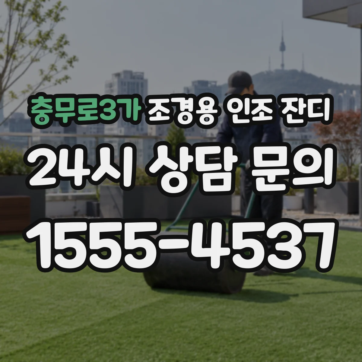 충무로3가 조경용 인조 잔디