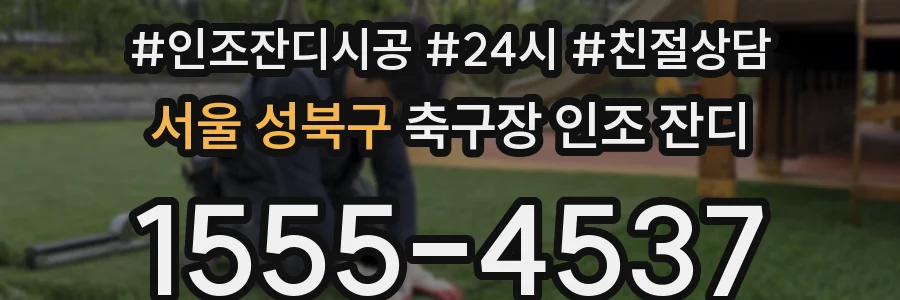 서울 성북구 축구장 인조 잔디