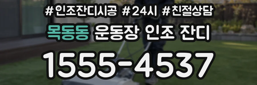목동동 운동장 인조 잔디