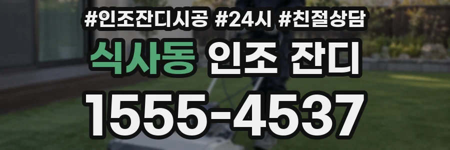식사동 인조 잔디