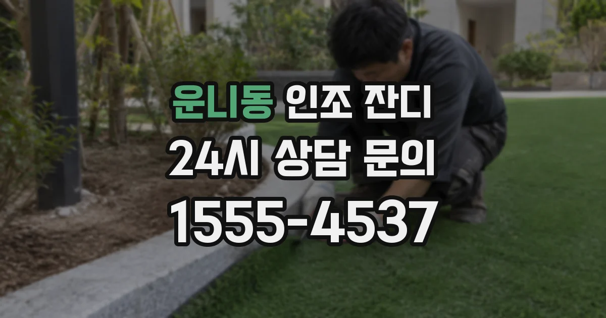 운니동 인조 잔디