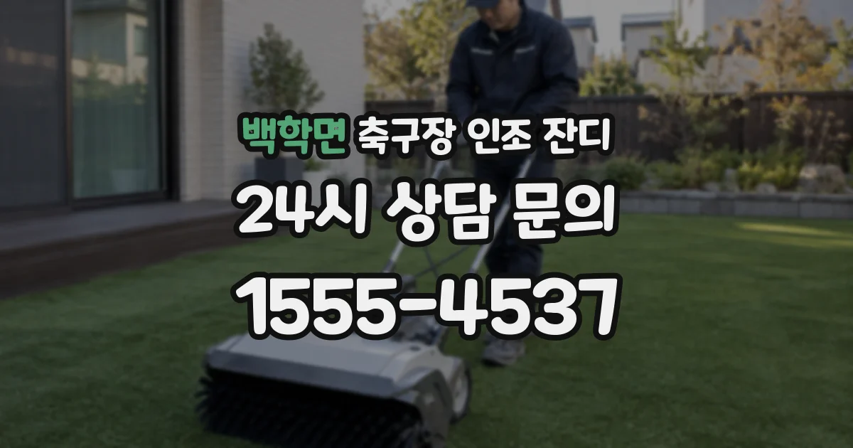 백학면 축구장 인조 잔디