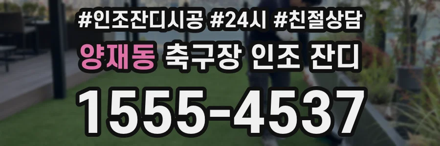 양재동 축구장 인조 잔디