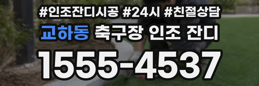 교하동 축구장 인조 잔디