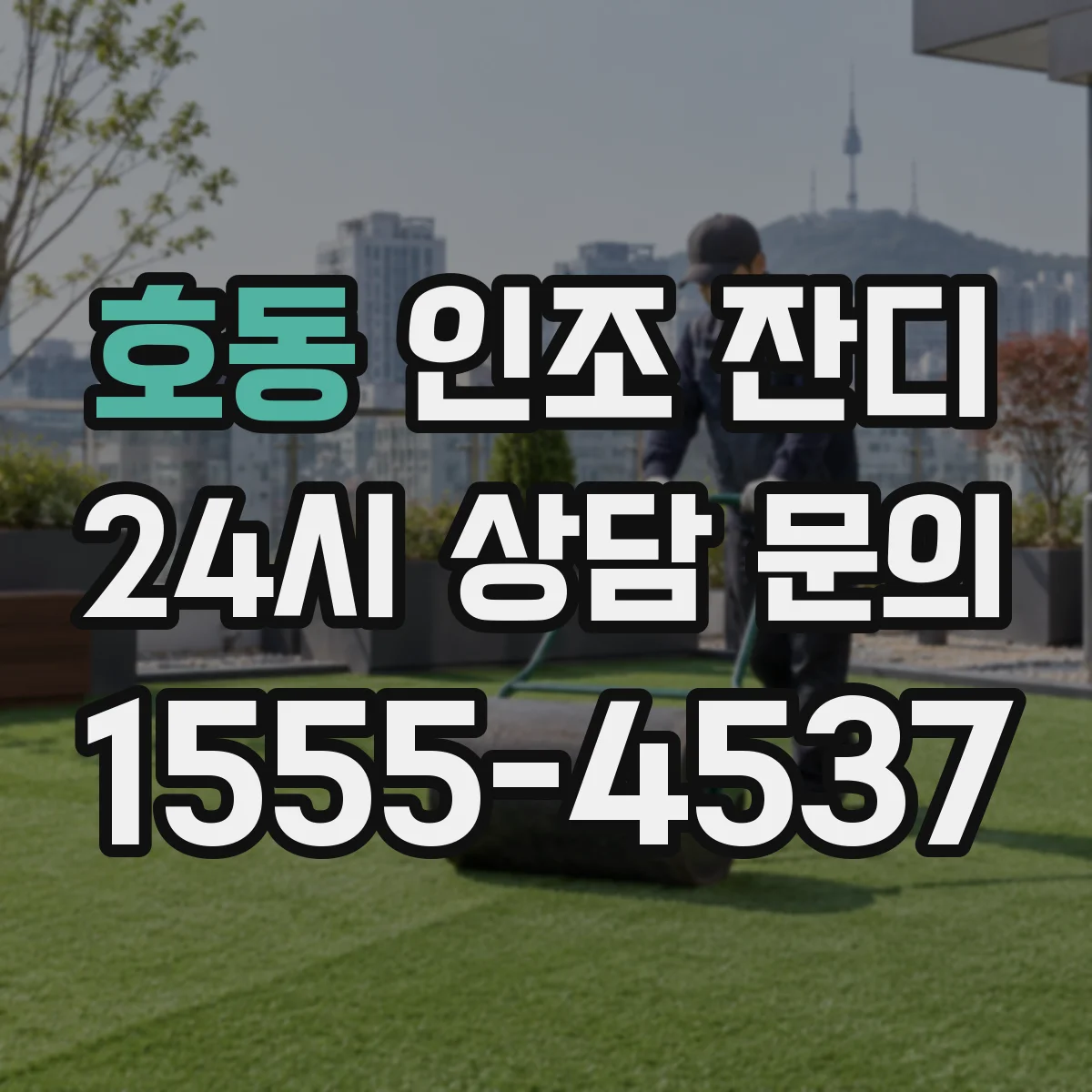 호동 인조 잔디