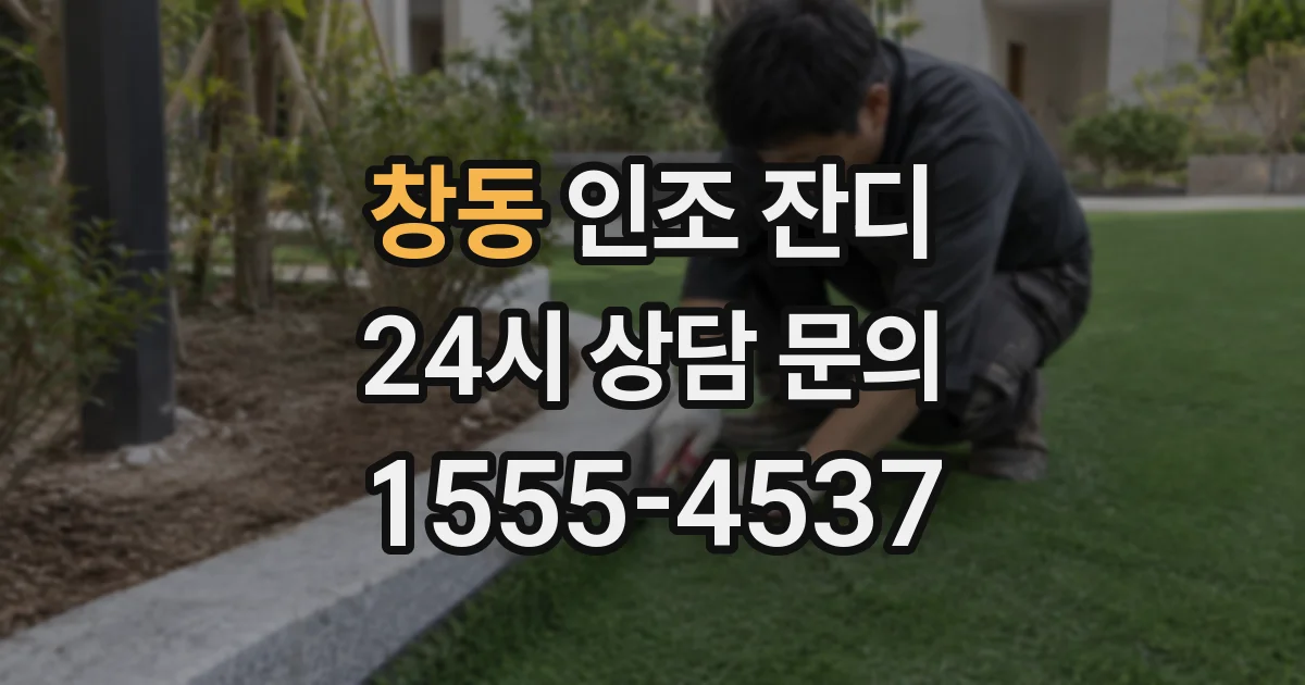 창동 인조 잔디