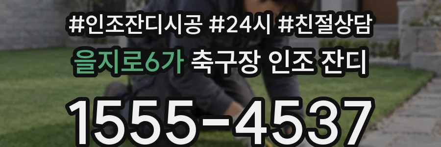 을지로6가 축구장 인조 잔디