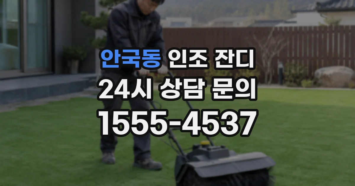 안국동 인조 잔디