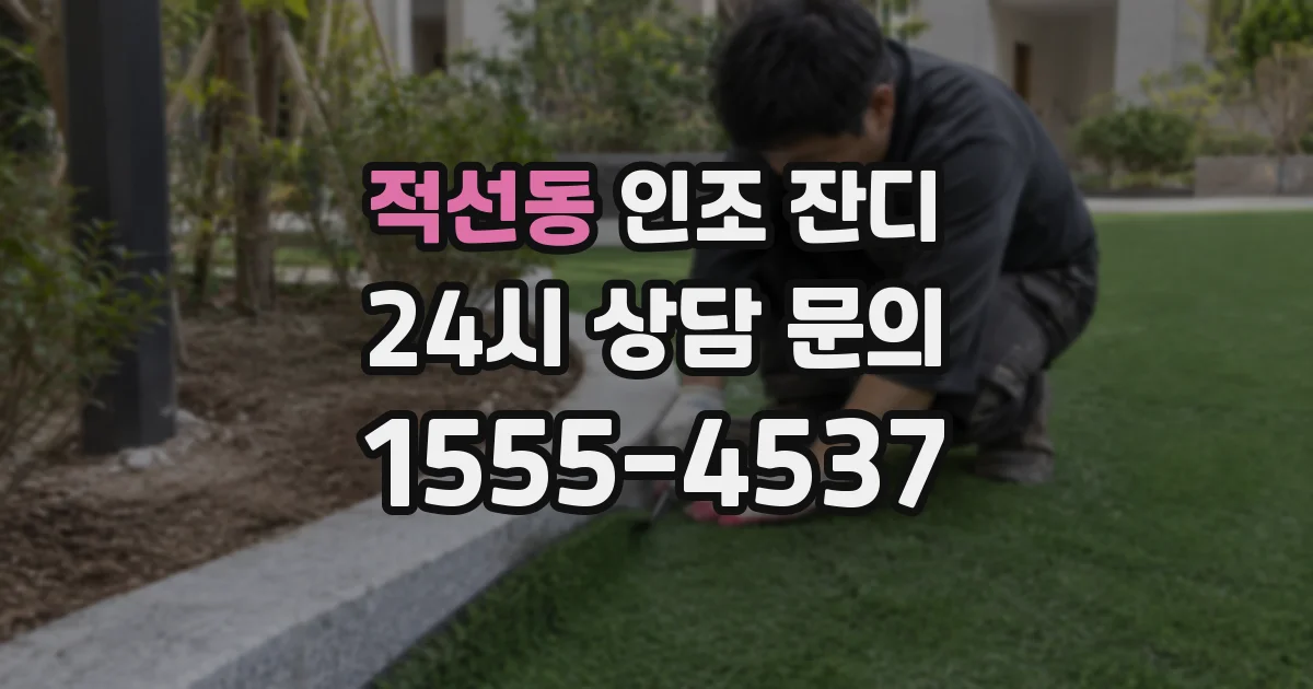 적선동 인조 잔디