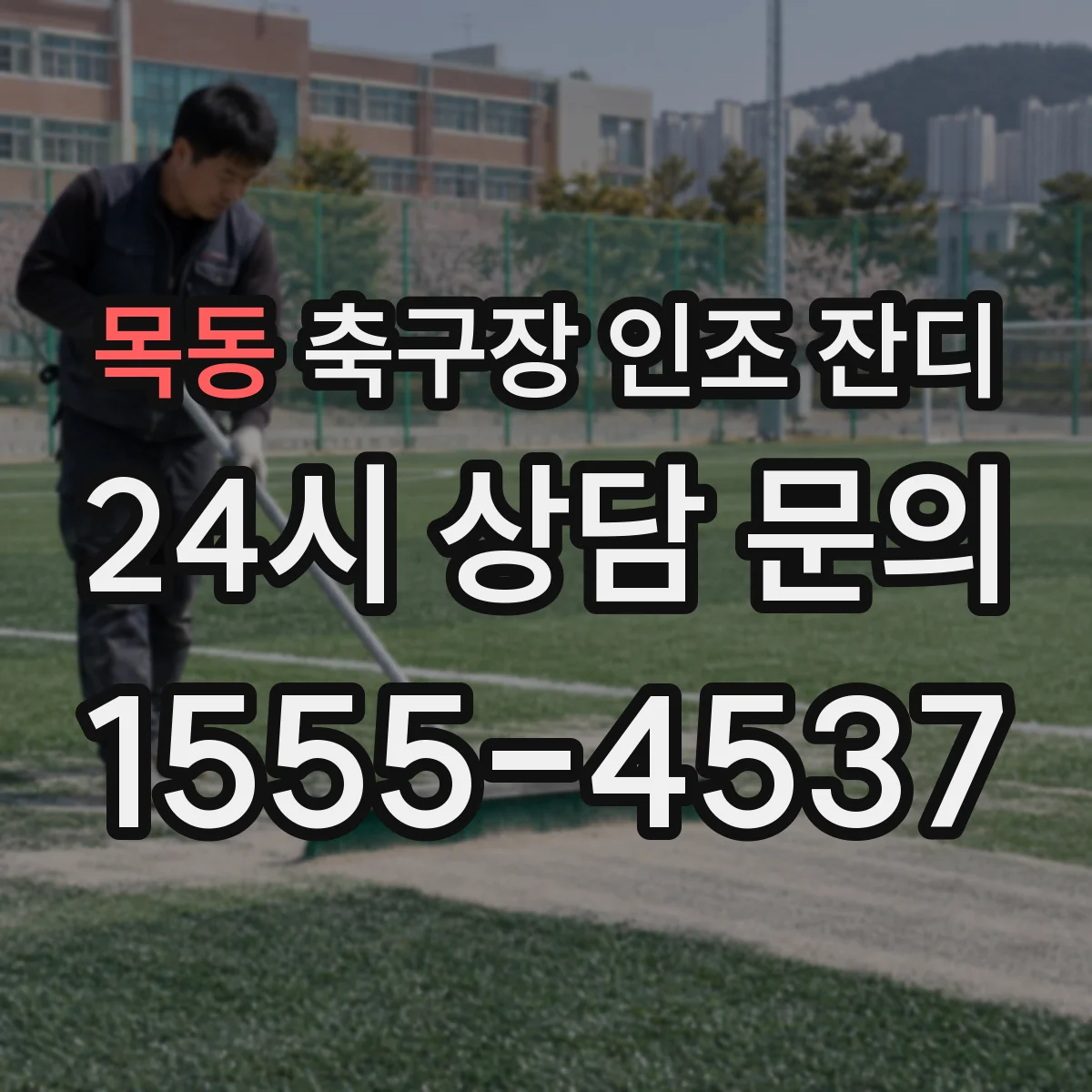 목동 축구장 인조 잔디