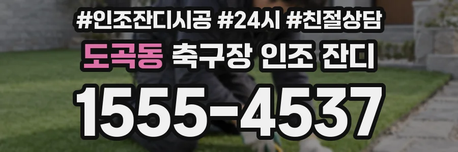 도곡동 축구장 인조 잔디