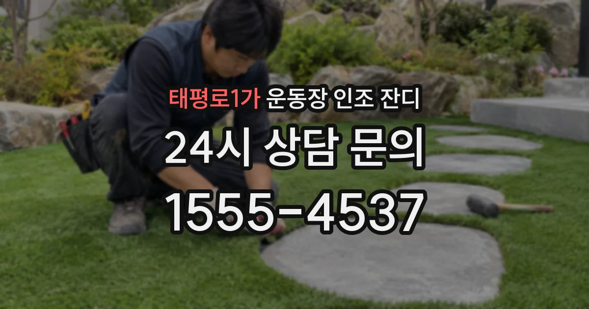 태평로1가 운동장 인조 잔디