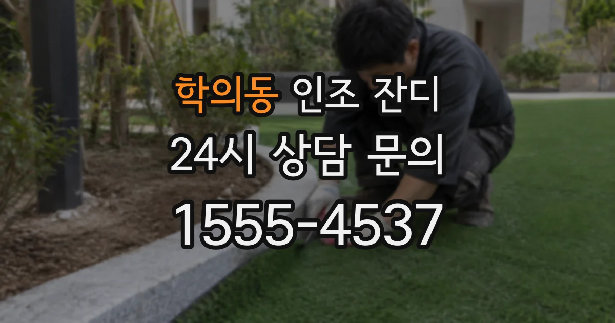 학의동 인조 잔디