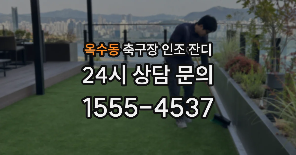 옥수동 축구장 인조 잔디