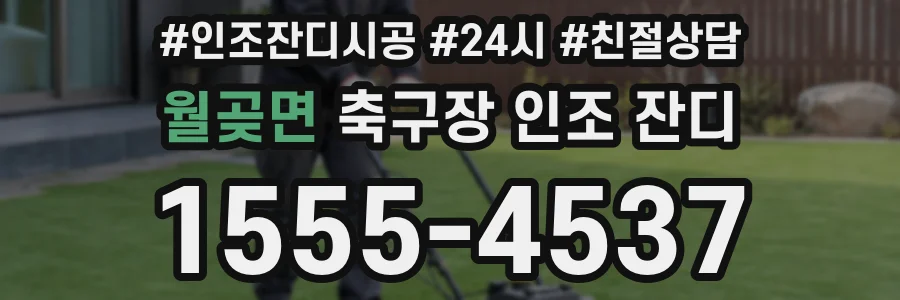 월곶면 축구장 인조 잔디