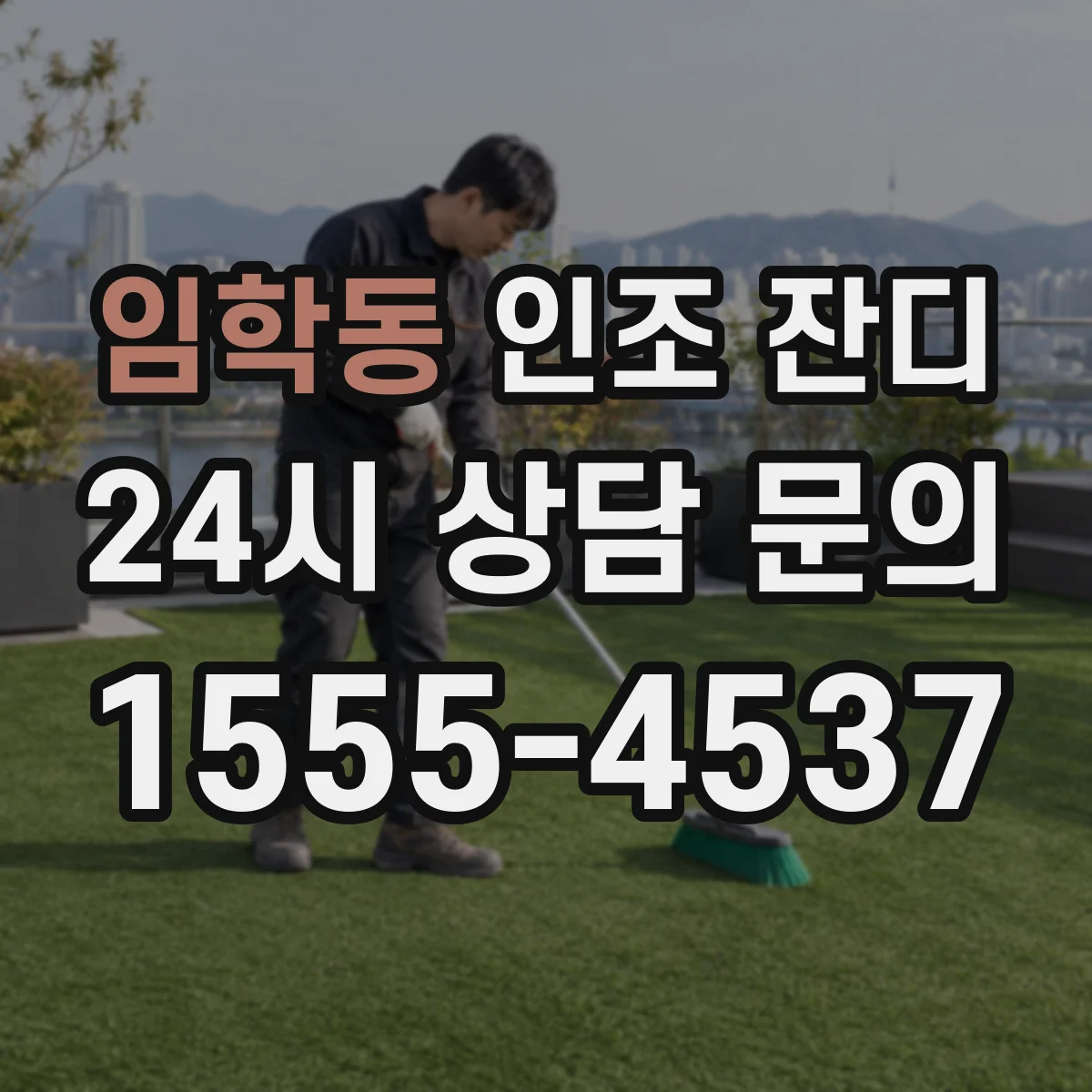 임학동 인조 잔디