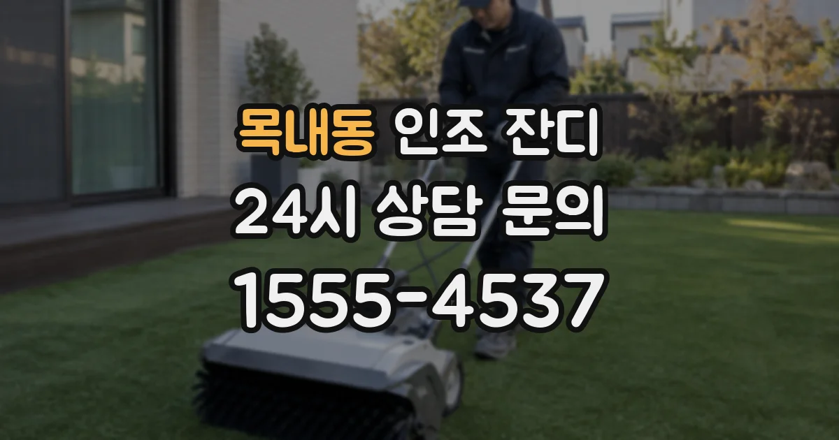 목내동 인조 잔디