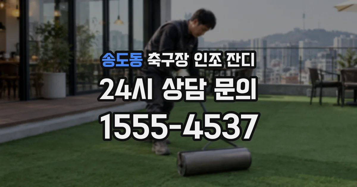 송도동 축구장 인조 잔디