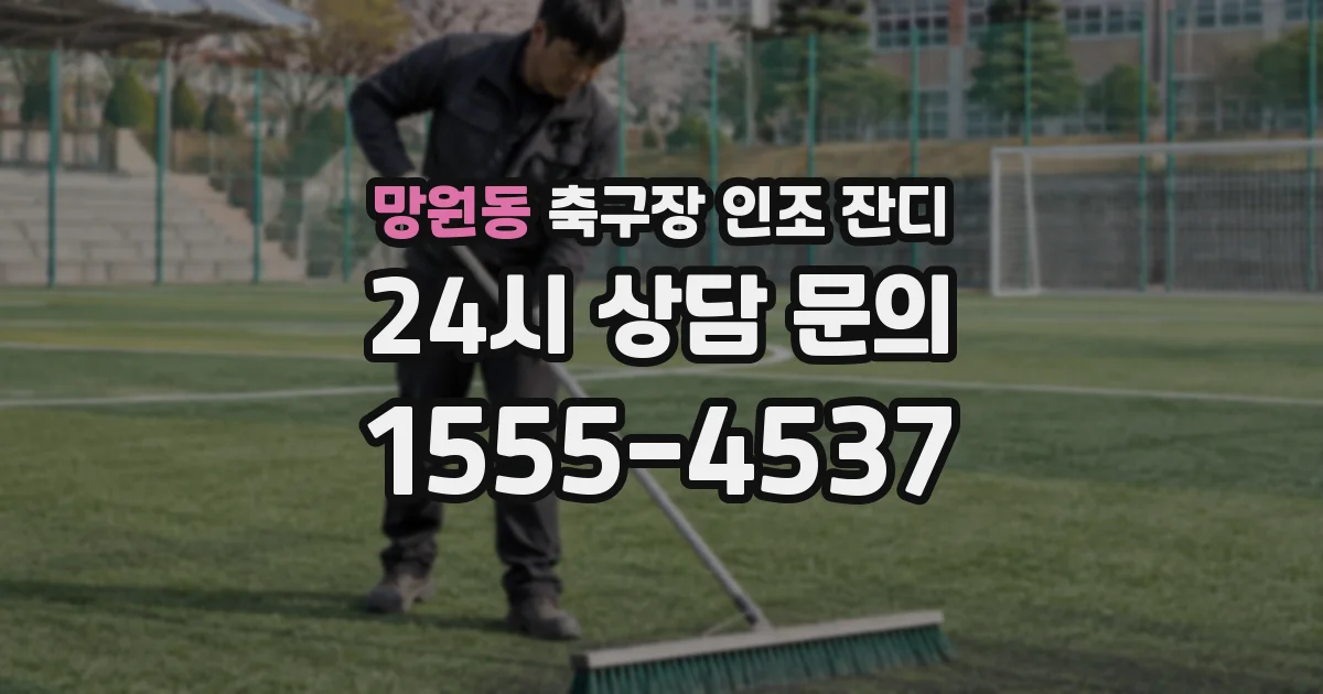망원동 축구장 인조 잔디