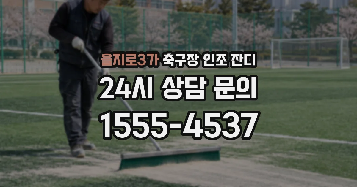 을지로3가 축구장 인조 잔디