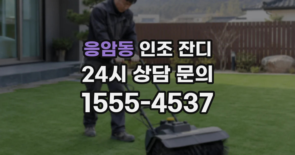 응암동 인조 잔디