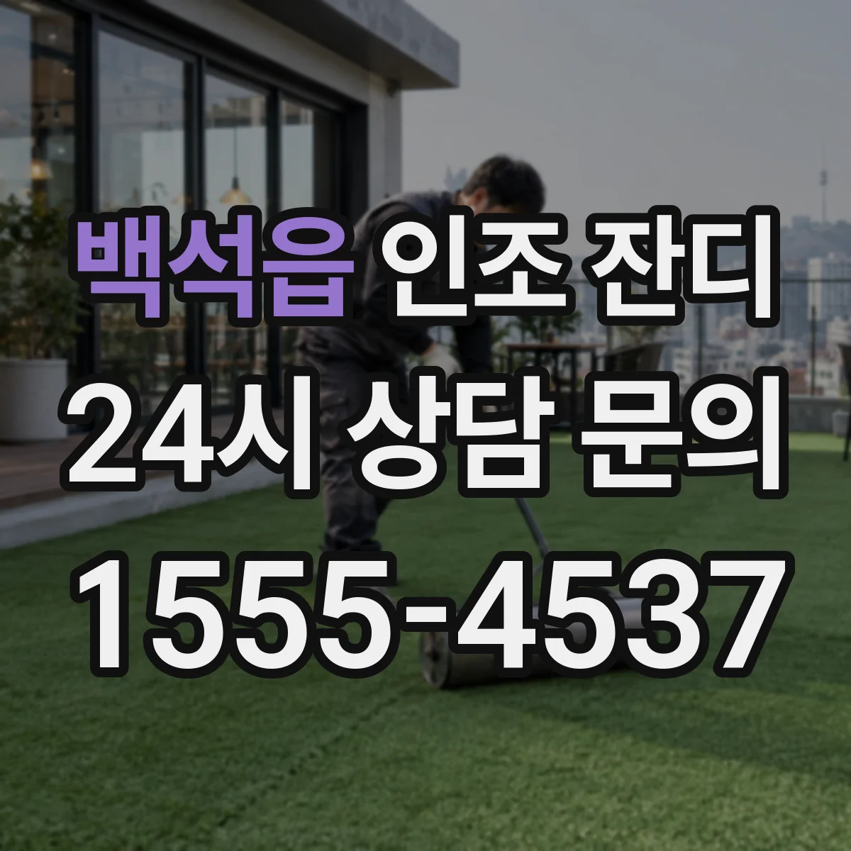 백석읍 인조 잔디