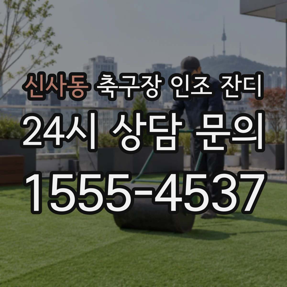 신사동 축구장 인조 잔디