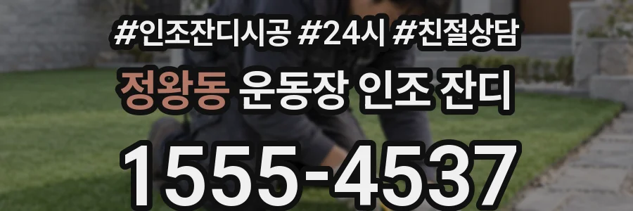 정왕동 운동장 인조 잔디