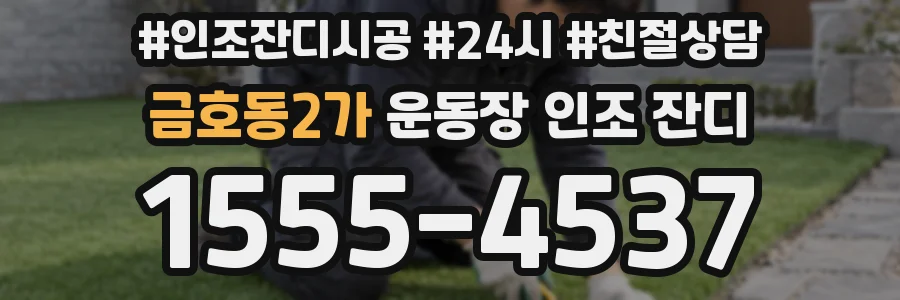 금호동2가 운동장 인조 잔디