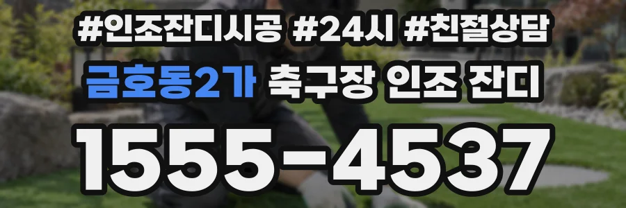 금호동2가 축구장 인조 잔디