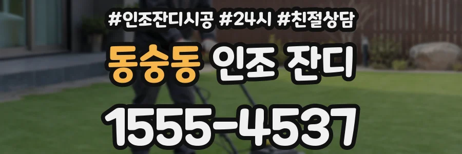 동숭동 인조 잔디