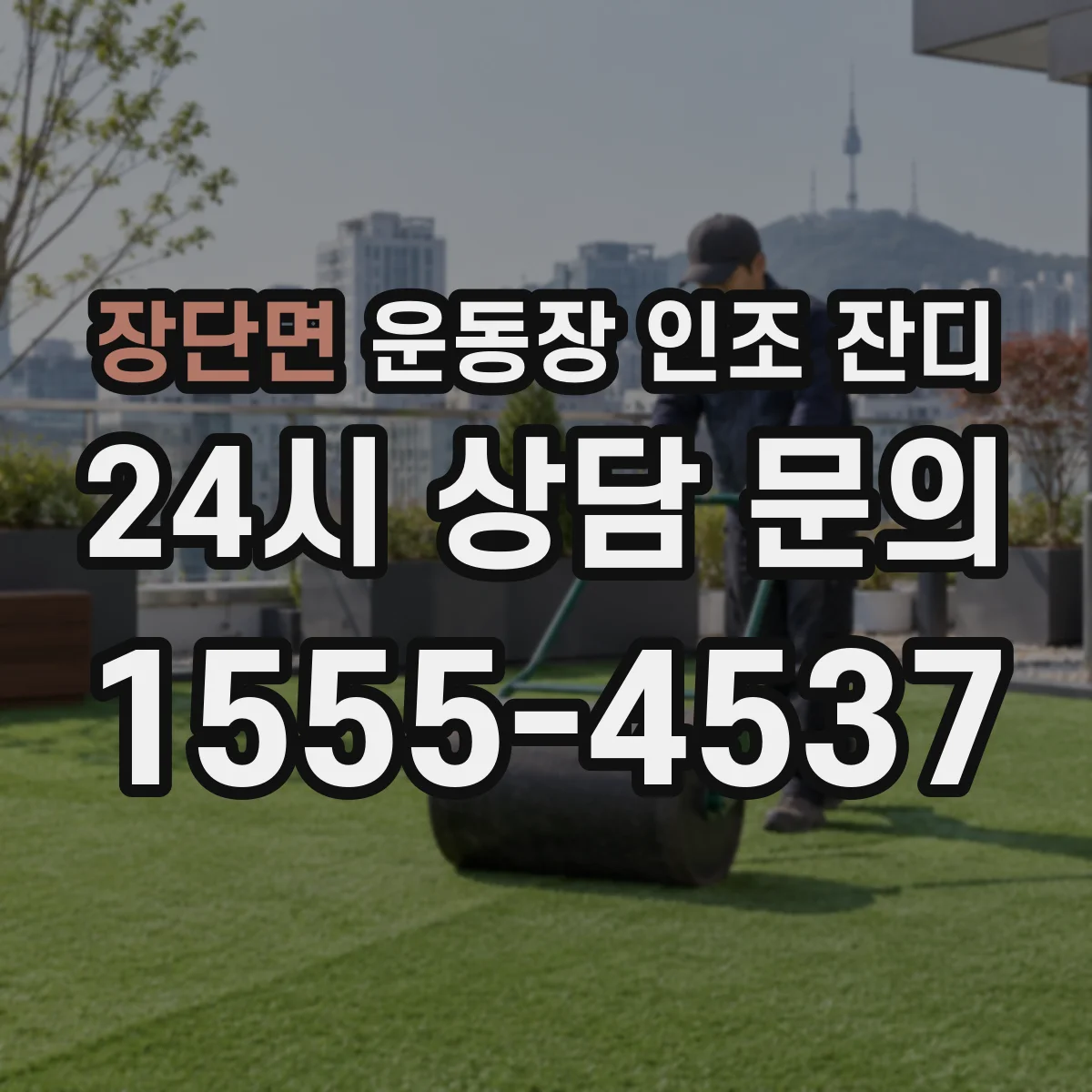 장단면 운동장 인조 잔디